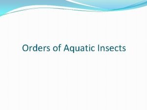 Classification of aquatic insects