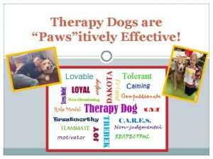 Therapy Dogs are Pawsitively Effective Lovable Tolerant The