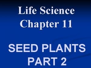 Lesson 11: seed plants