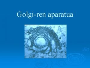 Golgiren aparatua Edukiak Sarrera Golgiren aparatuaren egitura Golgiren