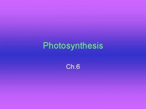 Photosynthesis Ch 6 6 1 Photosynthesis Biochemical pathway