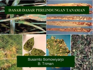 DASARDASAR PERLINDUNGAN TANAMAN Susamto Somowiyarjo B Triman Kuliah