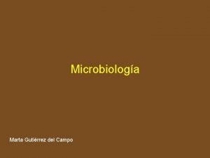 Microbiologa Marta Gutirrez del Campo Microbiologa La Microbiologa
