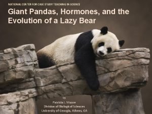 Panda bear digestive system