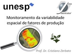 Monitoramento da variabilidade espacial de fatores de produo