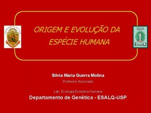 ORIGEM E EVOLUO DA ESPCIE HUMANA Silvia Maria