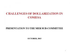 CHALLENGES OF DOLLARIZATION IN COMESA PRESENTATION TO THE