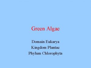Domain of algae
