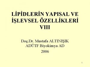 Levsel Levsel
