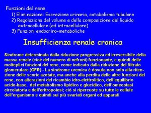 Funzioni del rene 1 Eliminazione Escrezione urinaria catabolismo