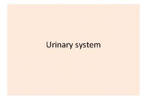 Urinary system also known as
