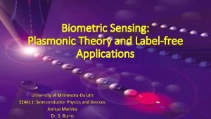 Biometric Sensing Plasmonic Theory and Labelfree Applications University