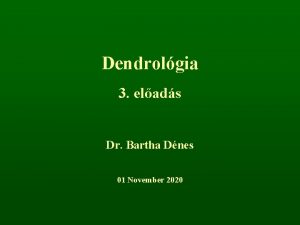 Dendrolgia 3 elads Dr Bartha Dnes 01 November