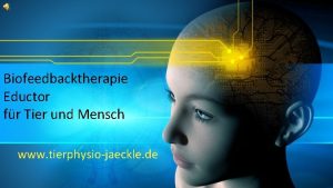 Biofeedbacktherapie Eductor fr Tier und Mensch www tierphysiojaeckle