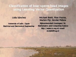 Classification of boar sperm head images using Learning
