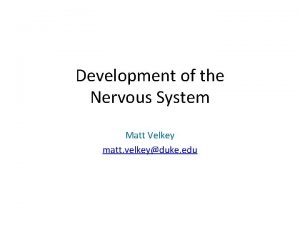 Development of the Nervous System Matt Velkey matt
