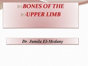 BONES OF THE UPPER LIMB Dr Jamila ElMedany