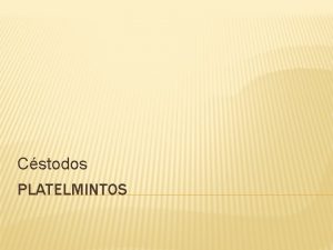 Cstodos PLATELMINTOS PLATELMINTOS GUSANOS PLANOS Forma de cinta