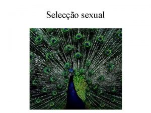 Seleco sexual Seleco sexual introduo Processo responsvel pela