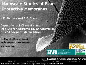 Nanoscale Studies of Plant Protective Membranes J D