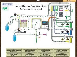 Anesthesia machine checkout
