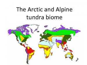 Alpine tundra world map