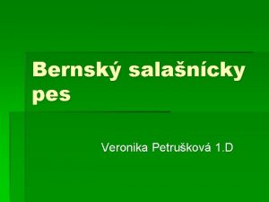 Bernsk salancky pes Veronika Petrukov 1 D OBSAH