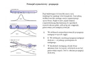 Potencja czynnociowy propagacja Prd wpywajcy do komrki musi