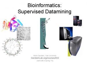 Bioinformatics Supervised Datamining Mark Gerstein Yale University Gerstein