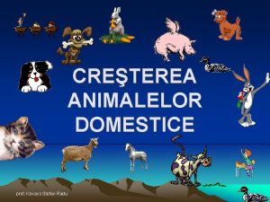 CRETEREA ANIMALELOR DOMESTICE prof Kovacs Stefan Radu ZOOTEHNIE