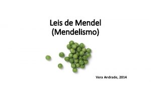 Leis de Mendel Mendelismo Vera Andrade 2014 Leis