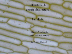 Laboratorio di scienze della natura La cellula Classe