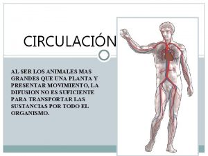 Ciclo cardíaco