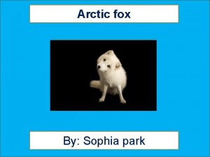 Arctic fox life cycle facts