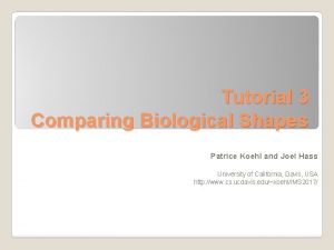 Tutorial 3 Comparing Biological Shapes Patrice Koehl and