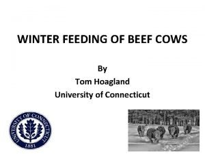WINTER FEEDING OF BEEF COWS By Tom Hoagland