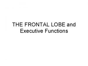 THE FRONTAL LOBE and Executive Functions USING M