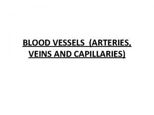 BLOOD VESSELS ARTERIES VEINS AND CAPILLARIES The Circulatory