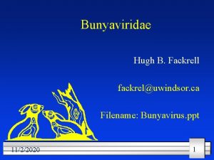 Bunyaviridae Hugh B Fackrell fackreluwindsor ca Filename Bunyavirus