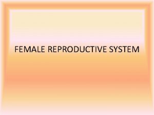 FEMALE REPRODUCTIVE SYSTEM Anatomy Physiology Cont The female