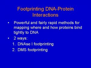 Footprinting DNAProtein Interactions Powerful and fairly rapid methods