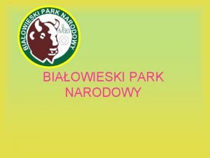 Puszcza białowieska ciekawostki Puszcza białowieska ciekawostki