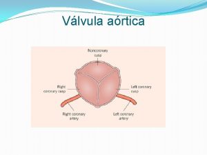 Estenosis aortica fisiopatologia