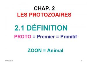 CHAP 2 LES PROTOZOAIRES 2 1 DFINITION PROTO