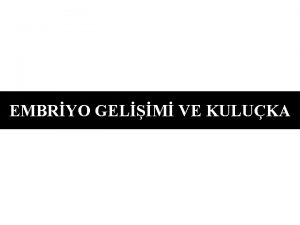 EMBRYO GELM VE KULUKA CVCV EMBRYOSUNUN GELM DLL