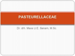 PASTEURELLACEAE Dr drh Maxs U E Sanam M