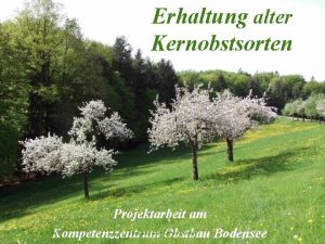 Erhaltung alter Kernobstsorten Projektarbeit am Kompetenzzentrum Obstbau Bodensee