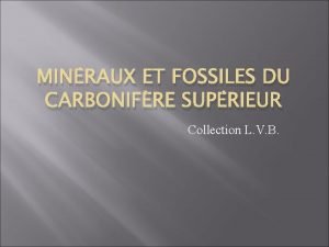 MINRAUX ET FOSSILES DU CARBONIFRE SUPRIEUR Collection L