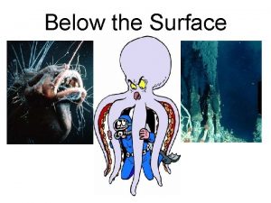 Deep sea abiotic factors