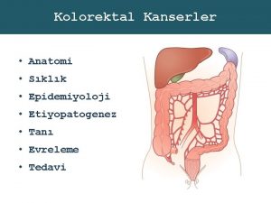 Kolorektal Kanserler Anatomi Sklk Epidemiyoloji Etiyopatogenez Tan Evreleme